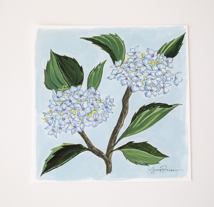 "Hydrangea II" Seconds Print