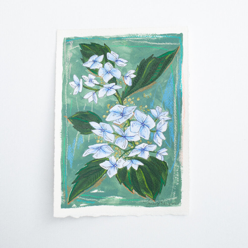 Hydrangea II 5x7