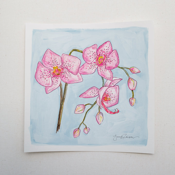 Orchid