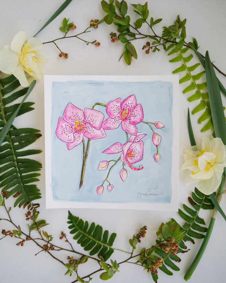 Orchid