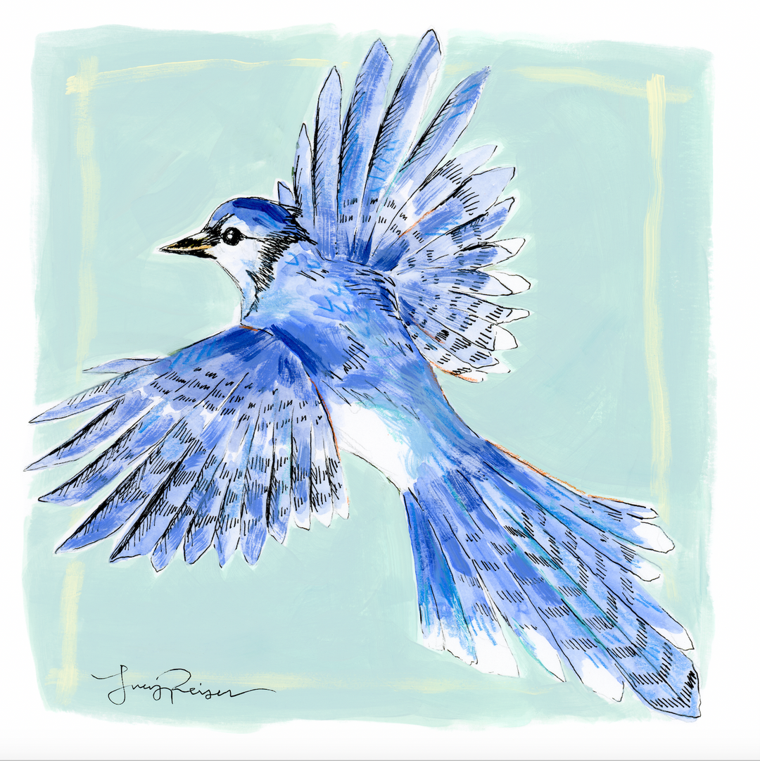 Blue Jay Print
