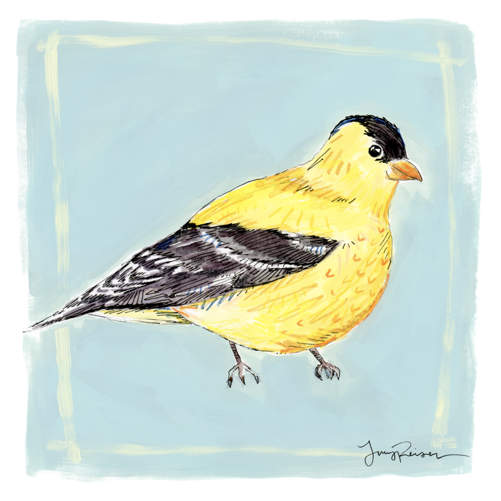 American Goldfinch Print