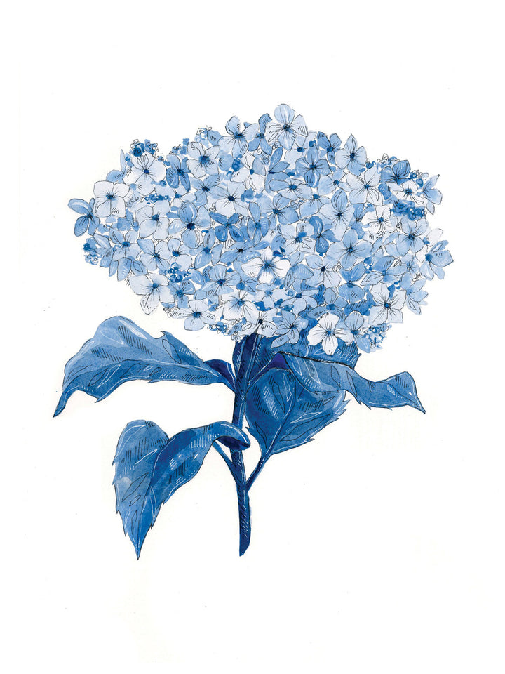 "Hydrangea" Seconds Print