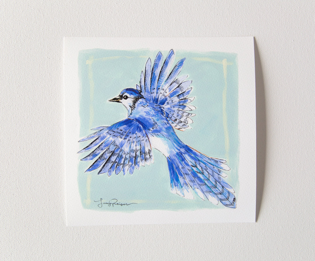 "Blue Jay" Seconds Print