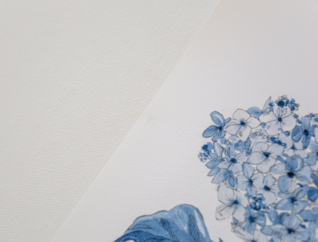 "Hydrangea" Seconds Print