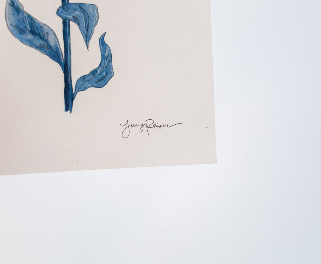 "Lily" Seconds Print