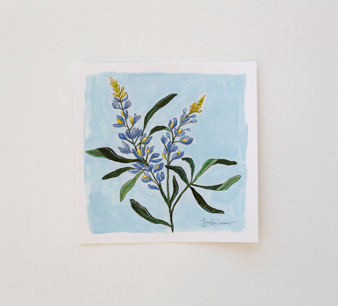 Bluebonnet