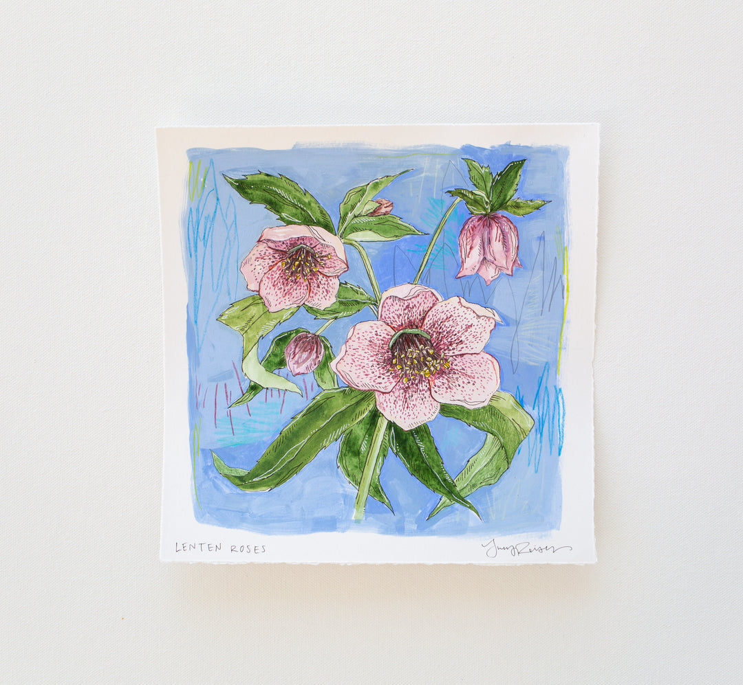Lenten Rose