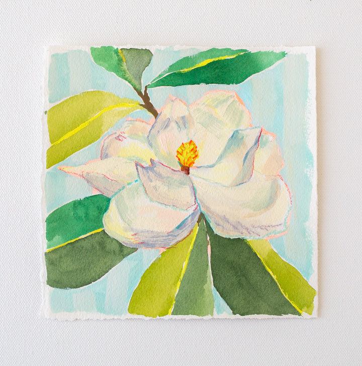 Small Magnolia Study