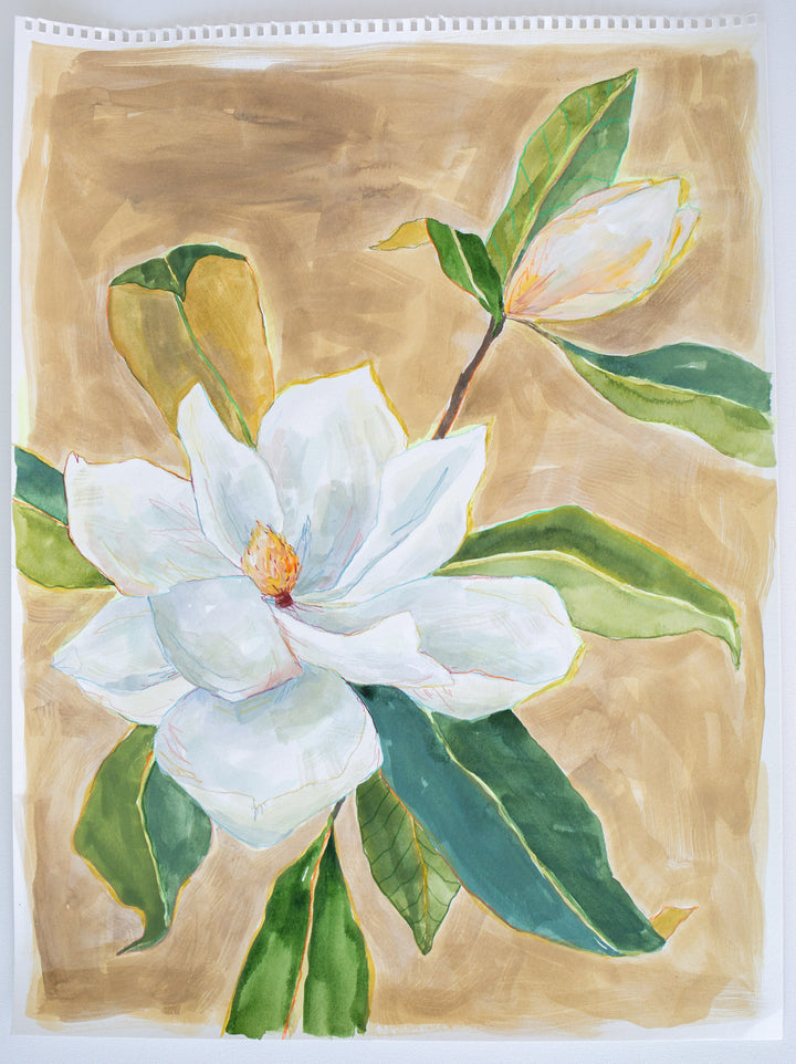 Large Magnolia Study