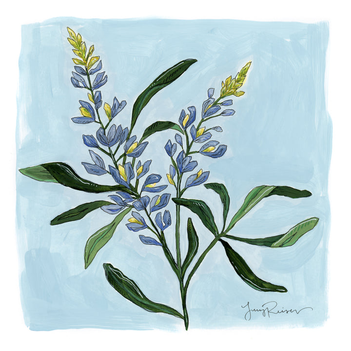 Bluebonnet Print