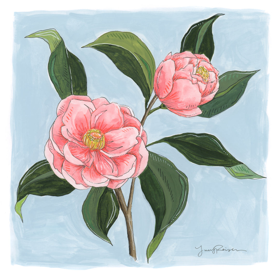 Sasanqua Camellia Print