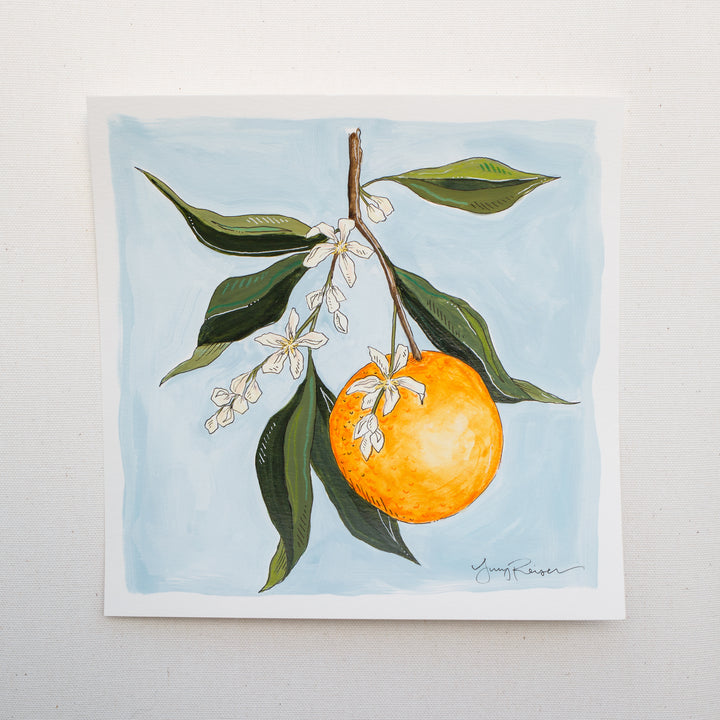 Orange Blossom