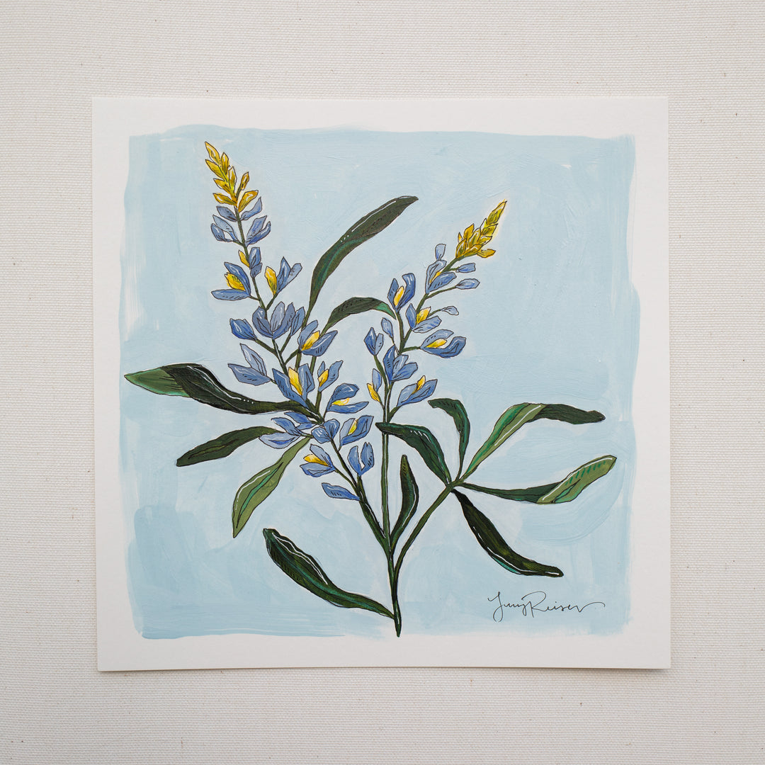 Bluebonnet Print