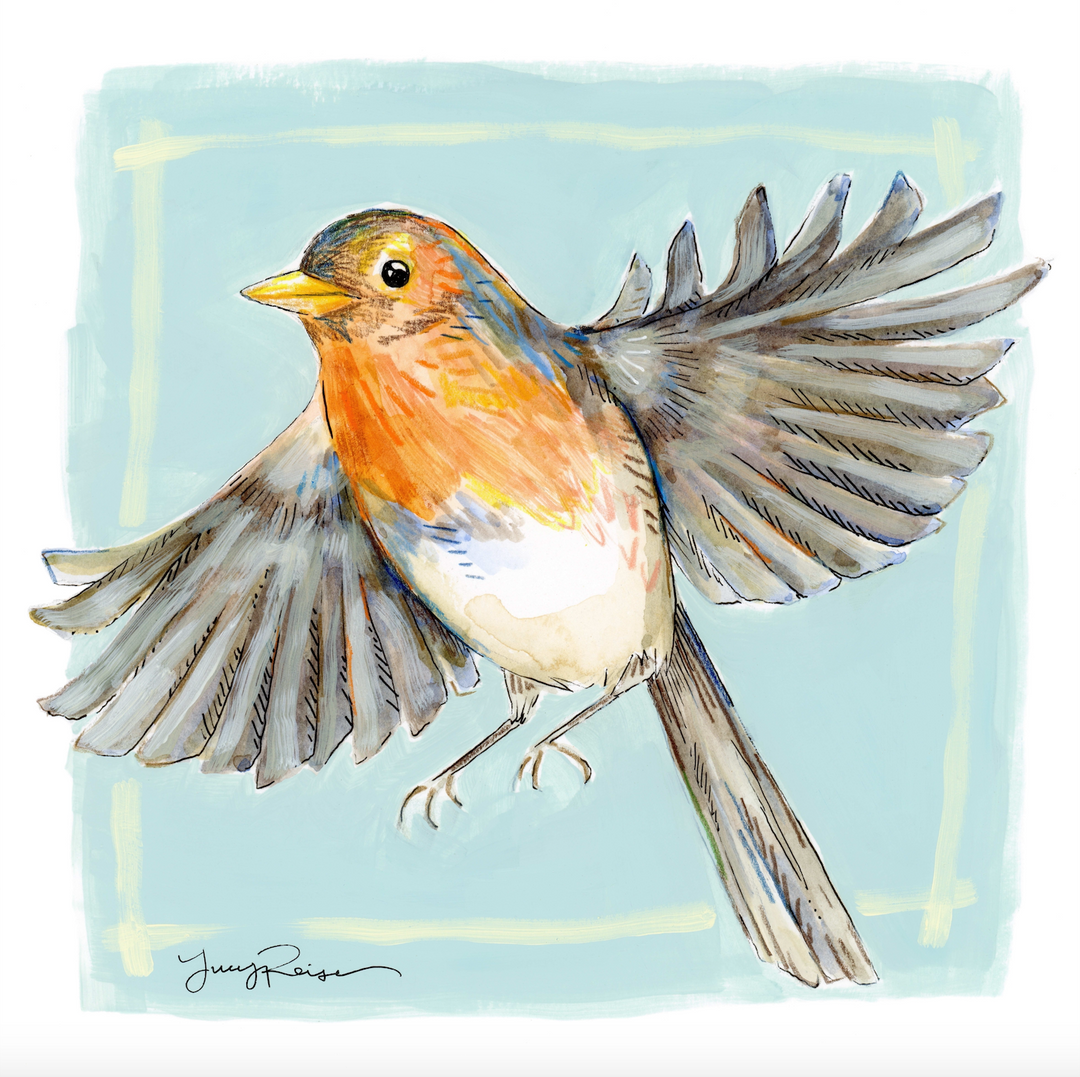 American Robin Print