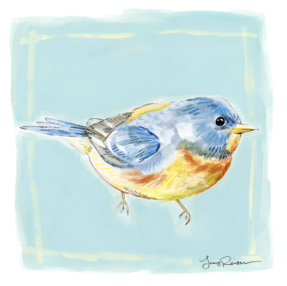 Northern Parula