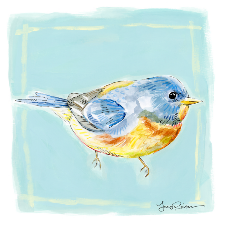 Northern Parula
