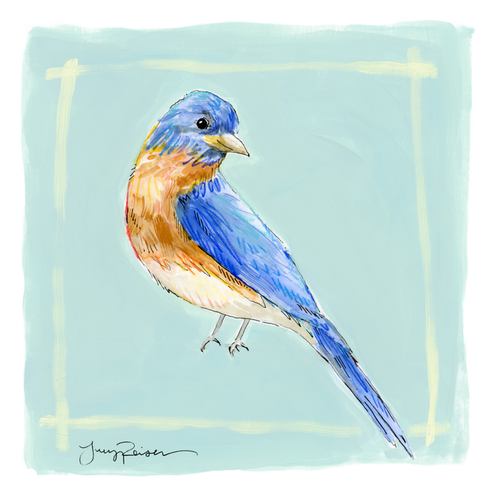 Eastern Bluebird