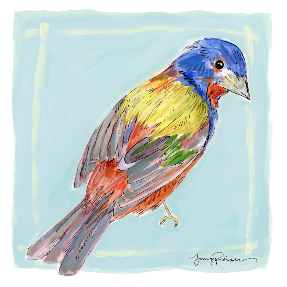 Painted Bunting