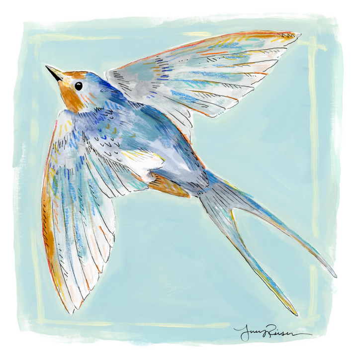 Barn Swallow