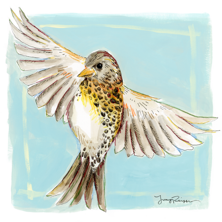 Wood Thrush