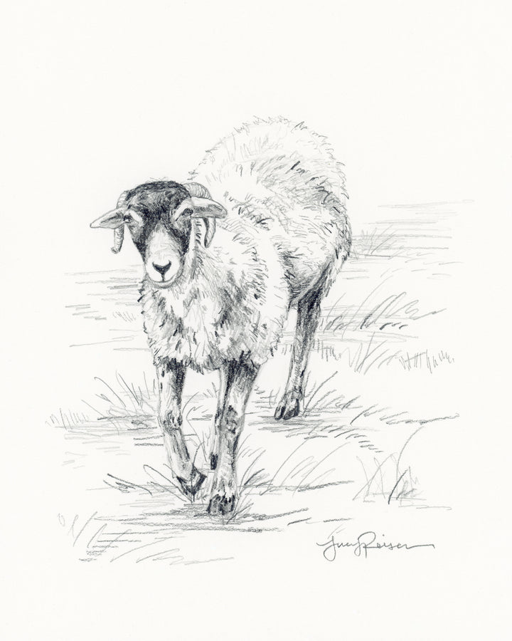 "Little Tup" Seconds Print