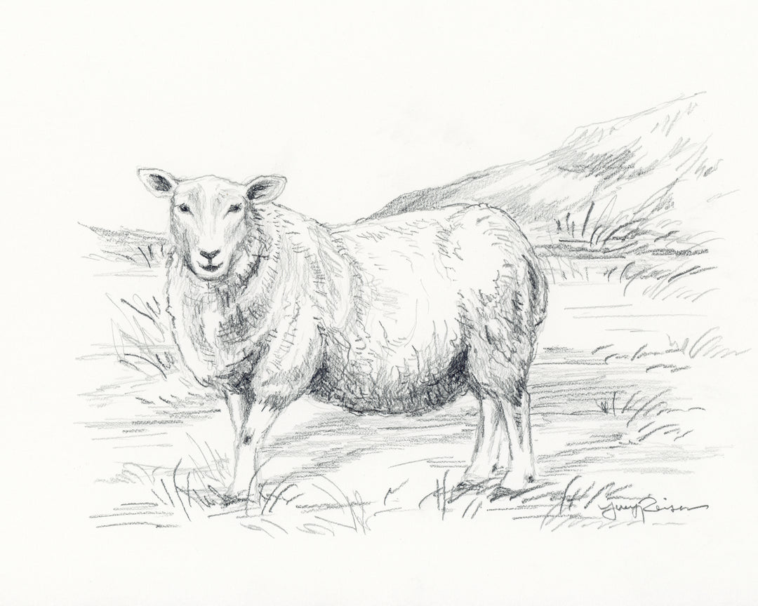 Ewe in the Valley