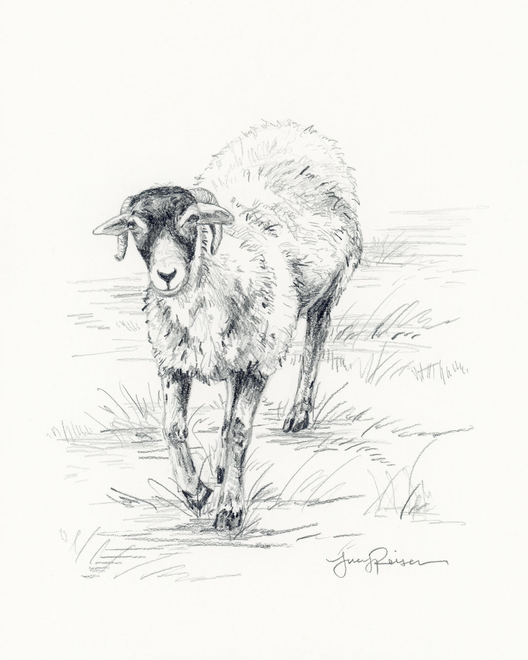 Little Tup