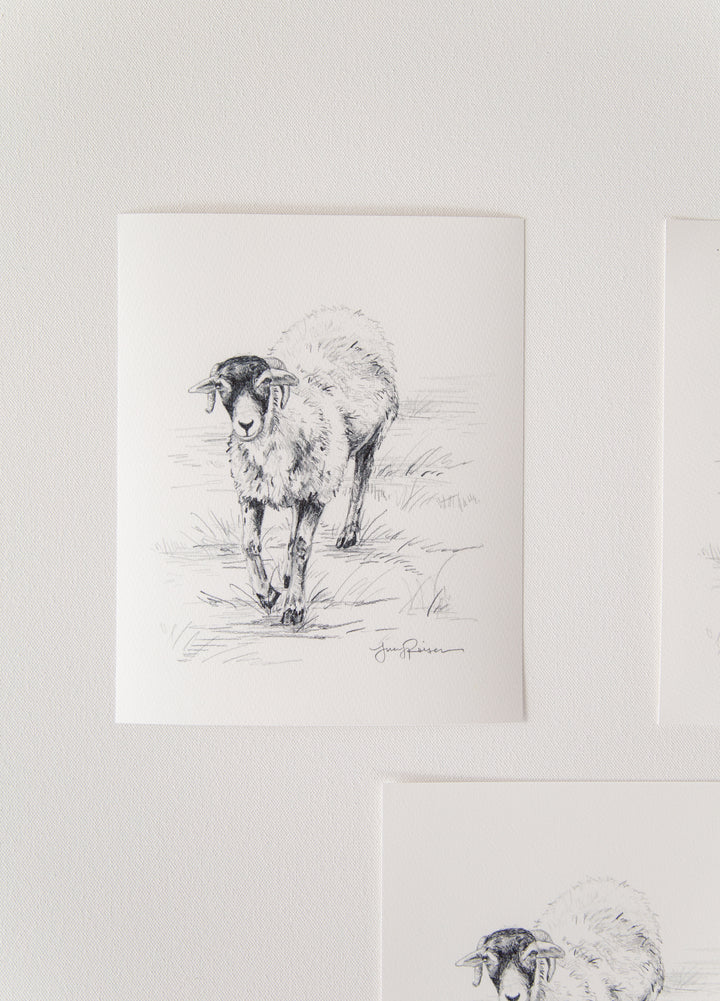 "Little Tup" Seconds Print