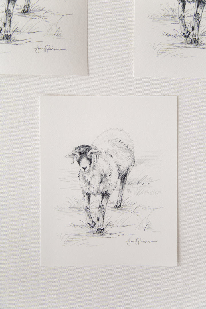 "Little Tup" Seconds Print