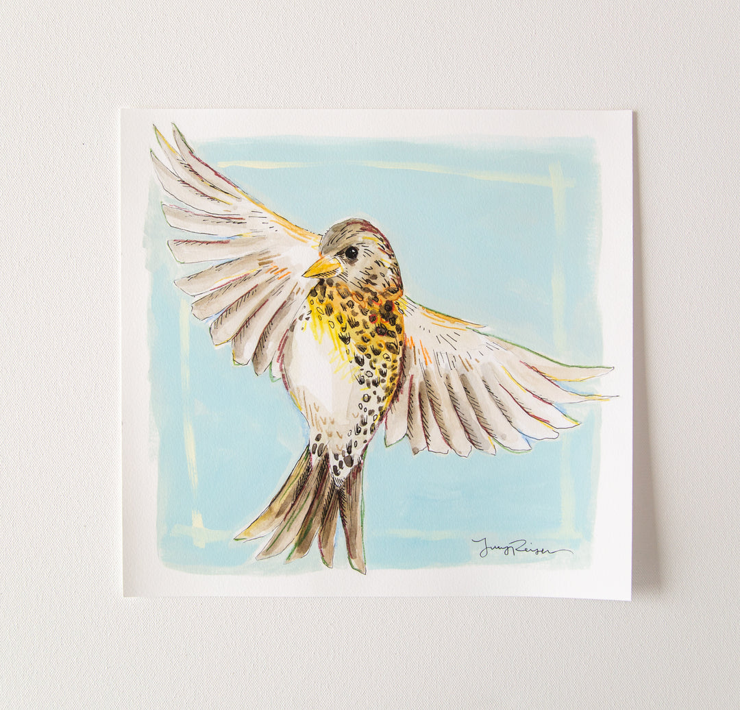 "Wood Thrush" Seconds Print